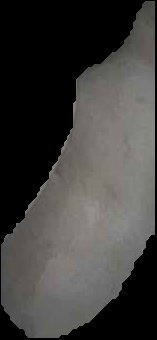 Crop