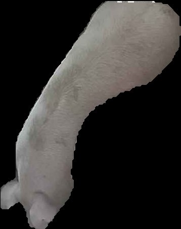 Crop