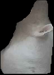 Crop