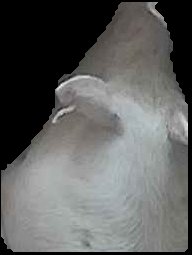 Crop