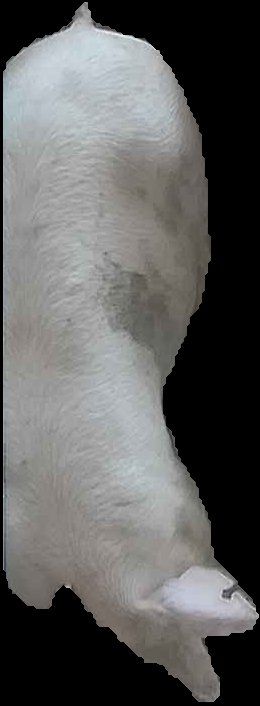 Crop