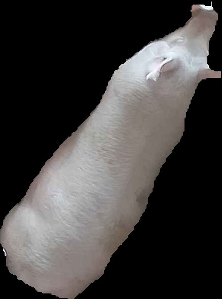Crop