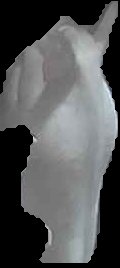 Crop