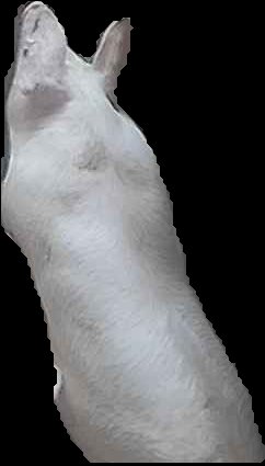 Crop
