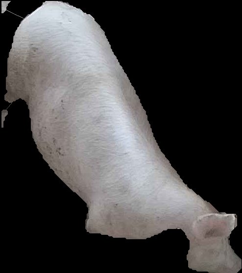 Crop