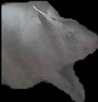 Crop