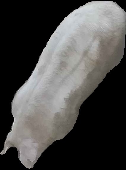 Crop