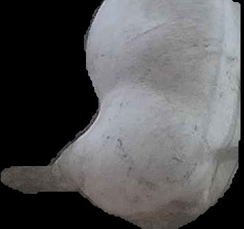 Crop