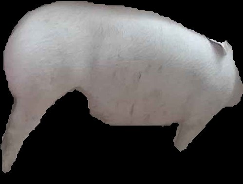 Crop