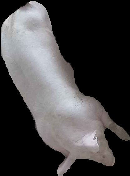 Crop