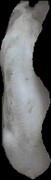 Crop