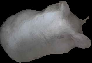 Crop