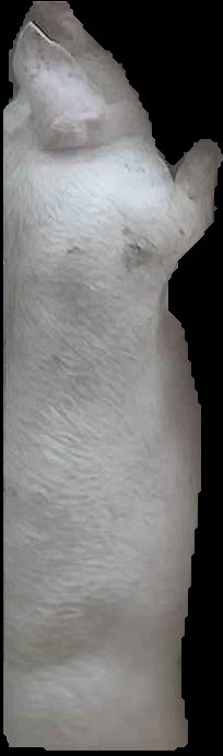Crop