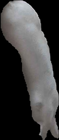 Crop