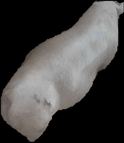 Crop