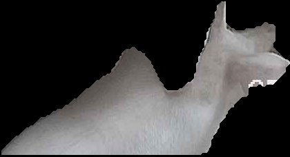 Crop