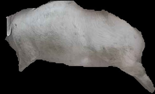Crop