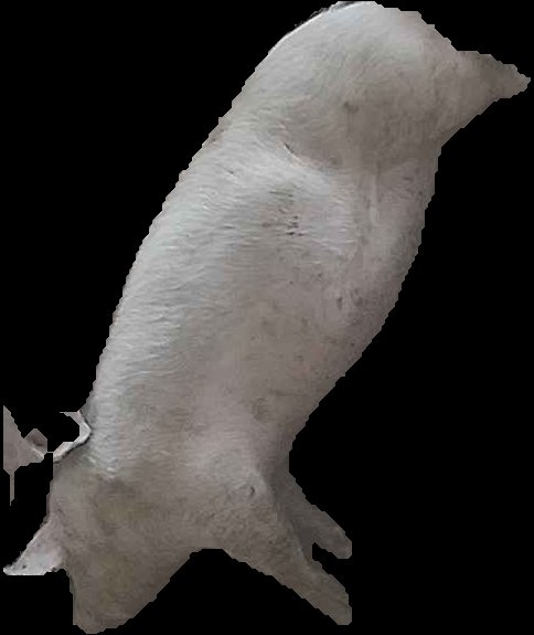 Crop