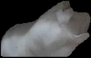 Crop