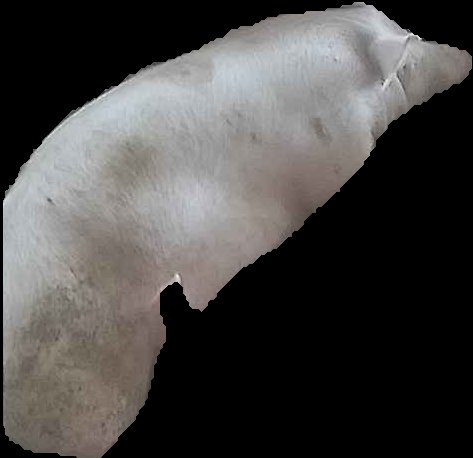 Crop