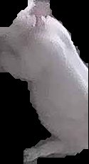 Crop