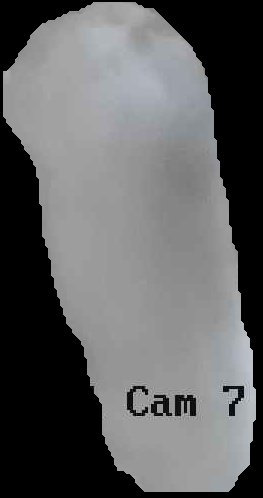 Crop