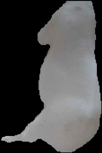 Crop