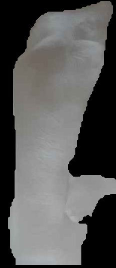 Crop