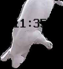 Crop