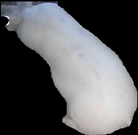 Crop