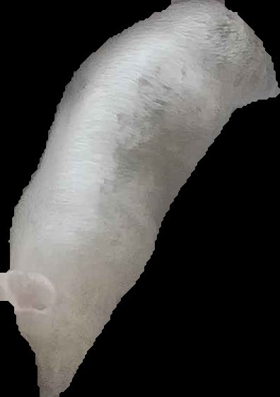 Crop