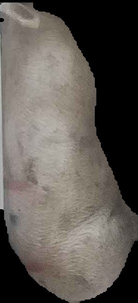 Crop