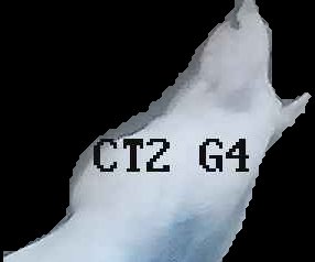 Crop