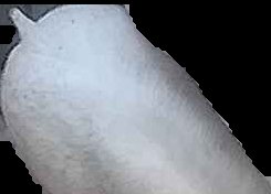 Crop