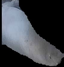 Crop