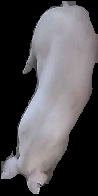 Crop