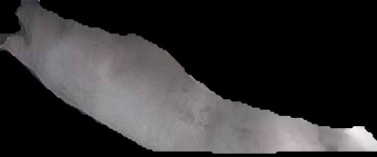 Crop