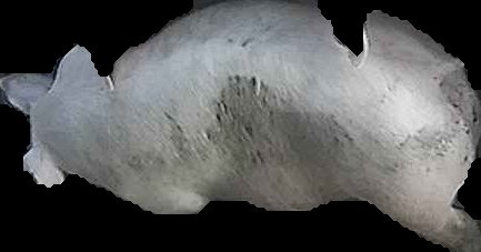 Crop