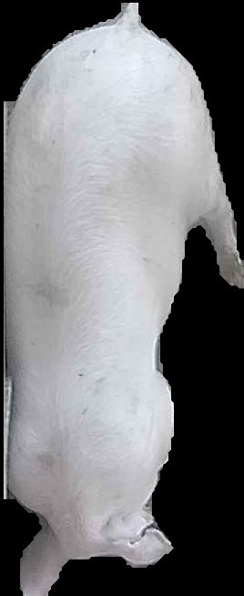 Crop