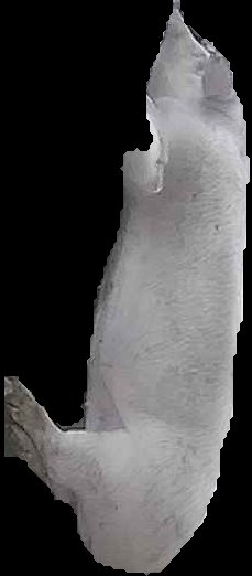 Crop