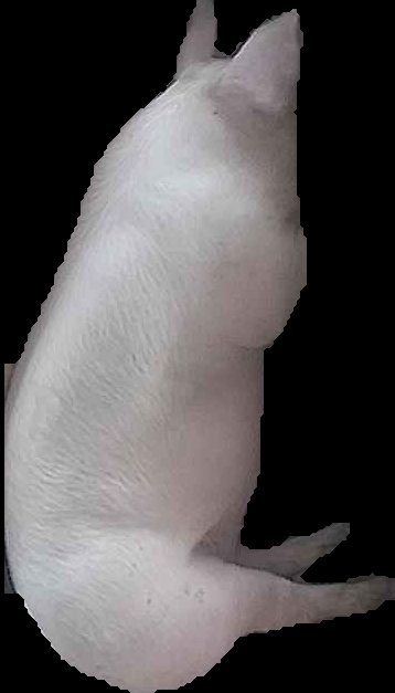 Crop