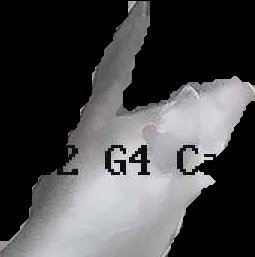 Crop