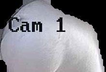 Crop