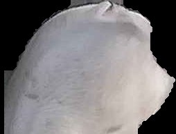 Crop