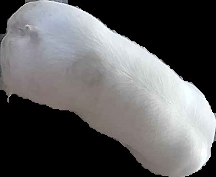 Crop