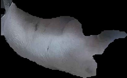 Crop