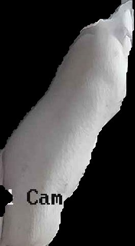 Crop