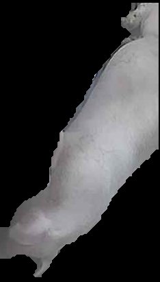 Crop
