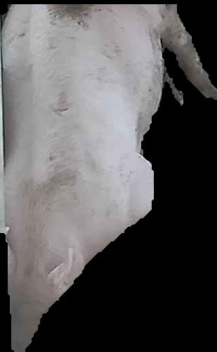 Crop