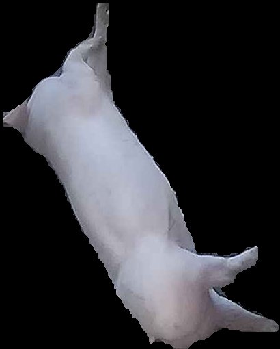 Crop